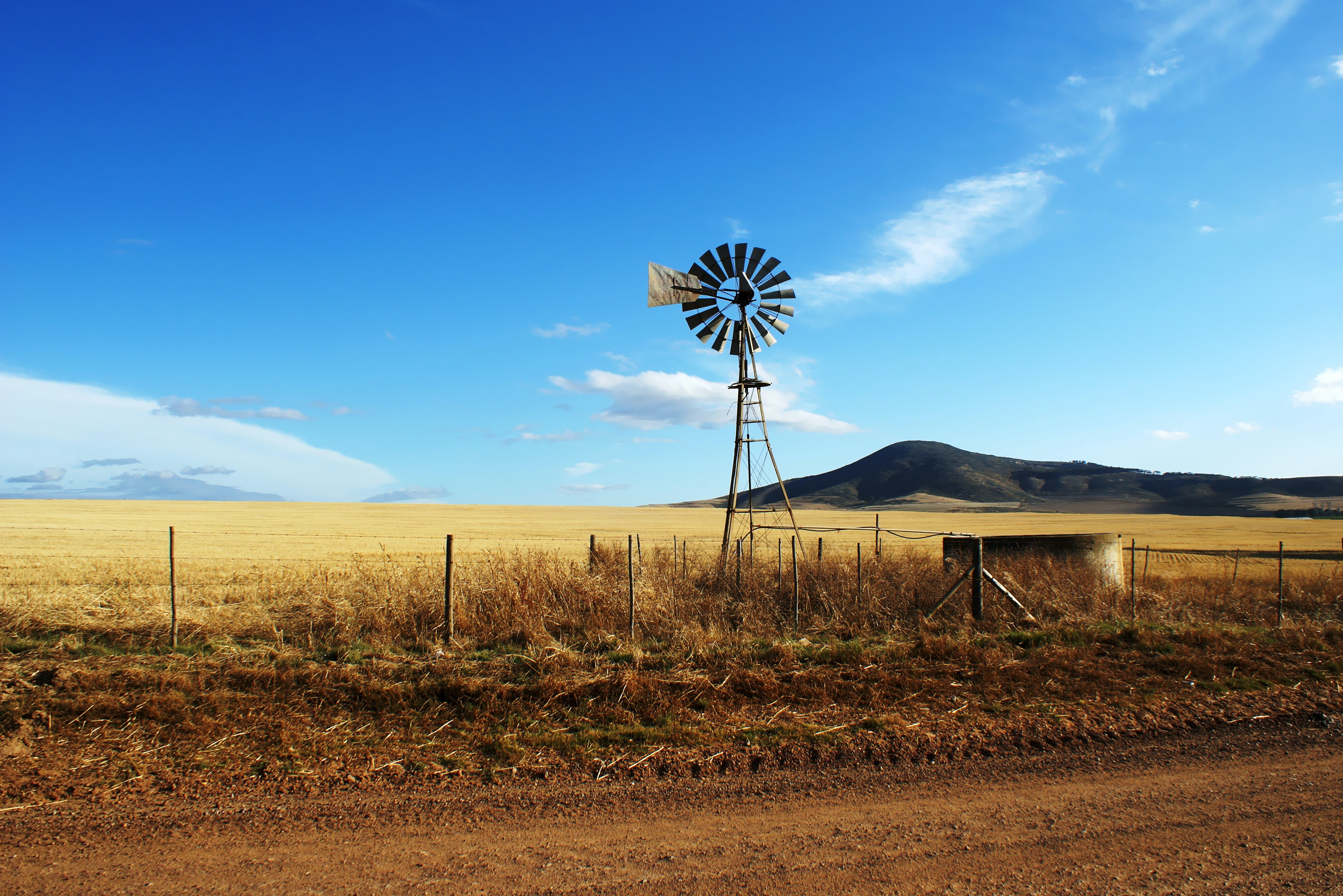 Windmill on farm